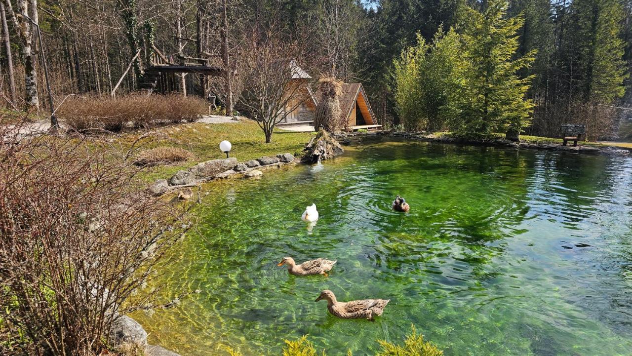 Apartamento Lepa Lopa Stahovica Exterior foto